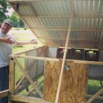 Chicken Tractor Plans