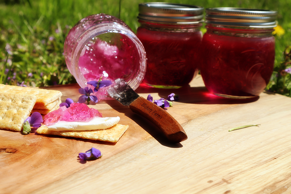 How To Make Dandelion Jelly - Homestead Acres